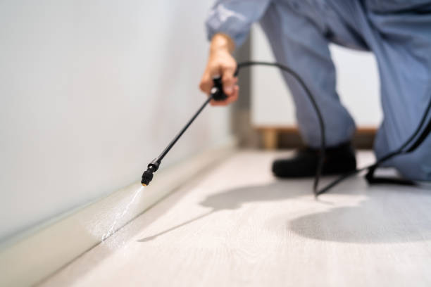 Licensed Termite Control service in Caro, MI - Nex Pest Control