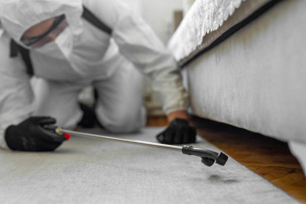 Professional Termite Control technician working in Caro, MI