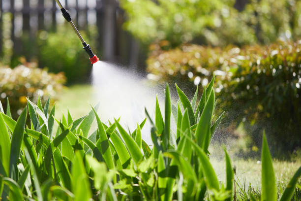 24/7 Emergency Termite Control experts in Caro, MI
