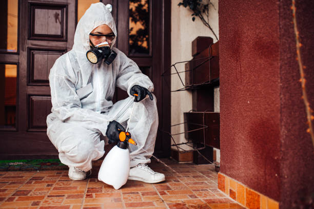 Reliable Termite Control contractor in Caro, MI by Nex Pest Control