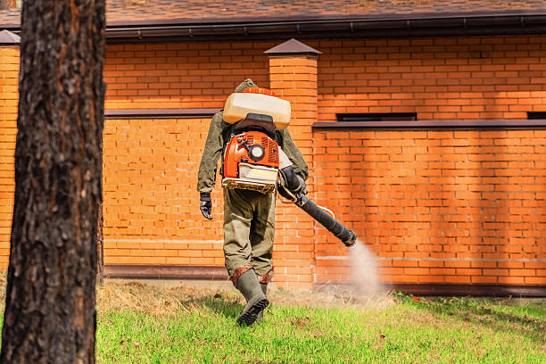 Top rated local Termite Control specialists in Caro, MI